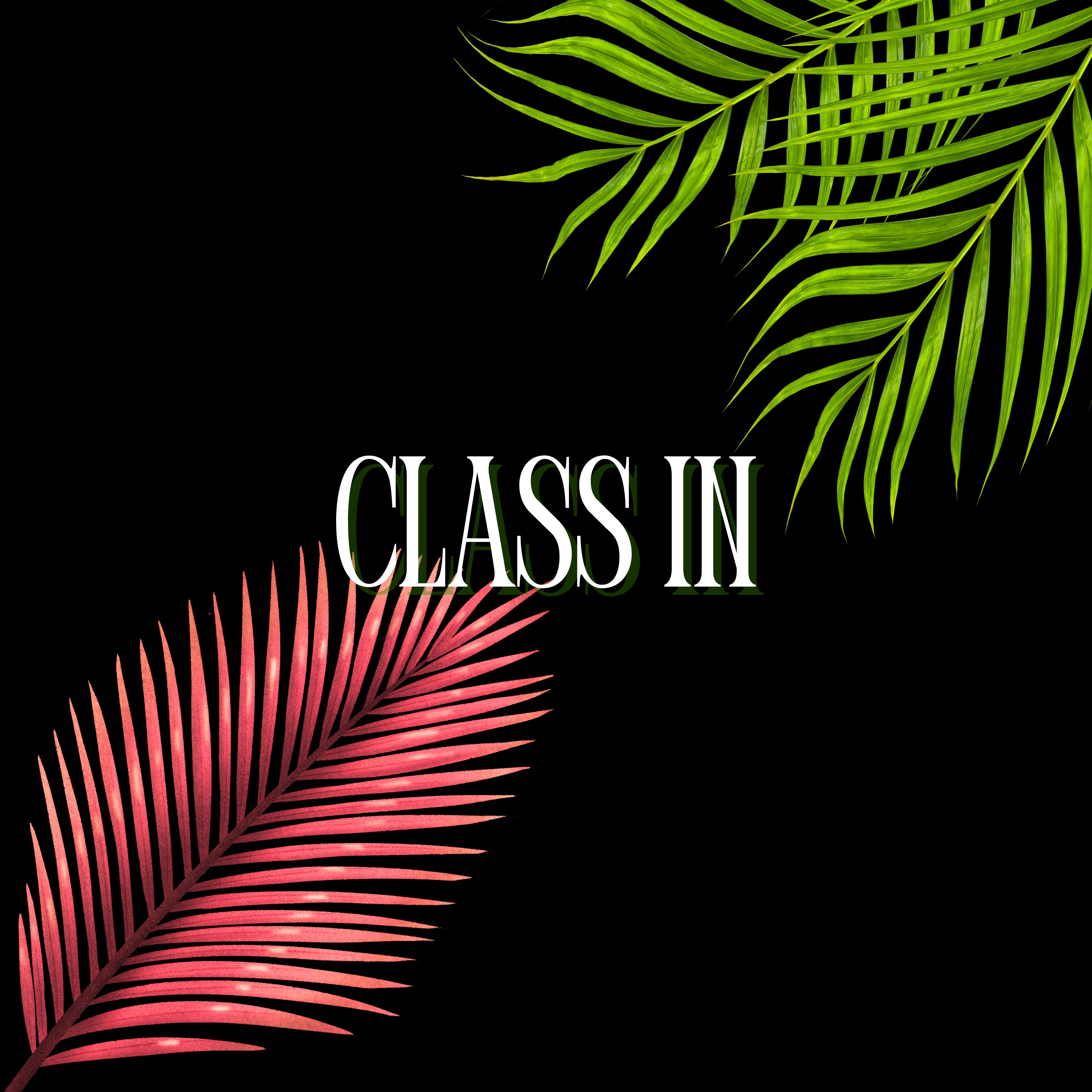 Class In